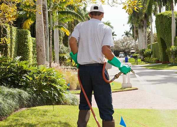 About Holcombe WI Pest Control